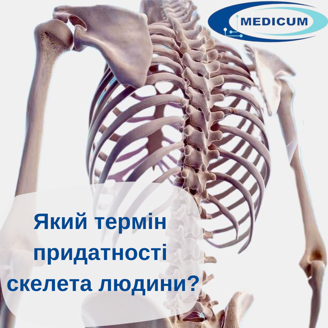 Який термін придатності скелета людини?